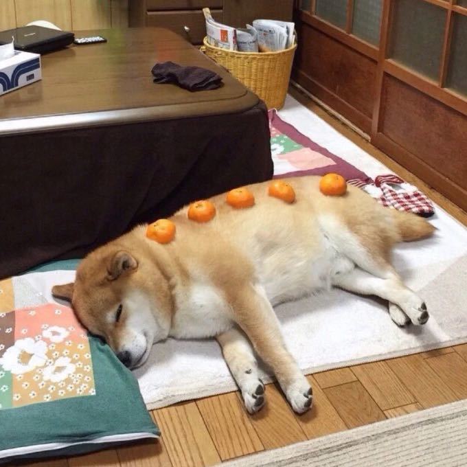 This is me - IT worker